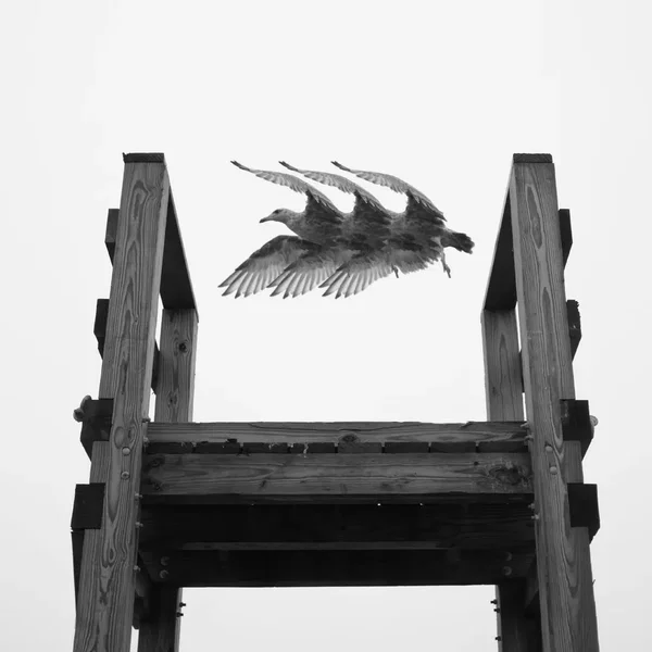 An Interrupted Process