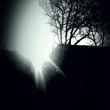 A Walk in the Park by Norman Westberg - album cover