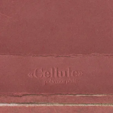 Cellule