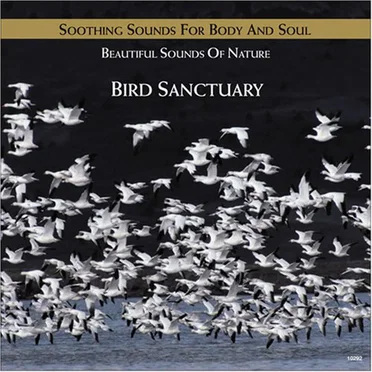 Bird Sanctuary by Beautiful Sounds of Nature - album cover