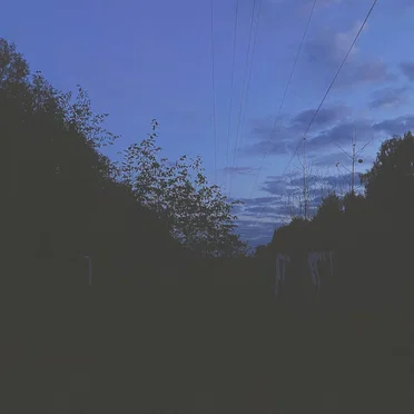a slow breath of night breeze