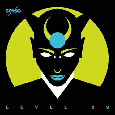 Senso Sounds Level 09 by Various Artists - album cover
