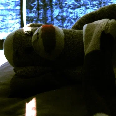 Too Late to Sleep