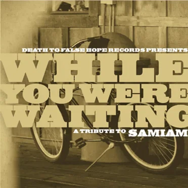 While You Were Waiting: A Tribute to Samiam by Various Artists - album cover