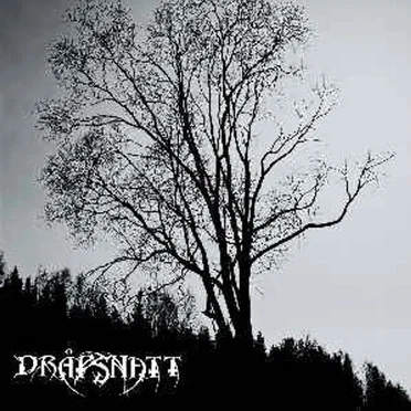 Skelepht by Dråpsnatt - album cover