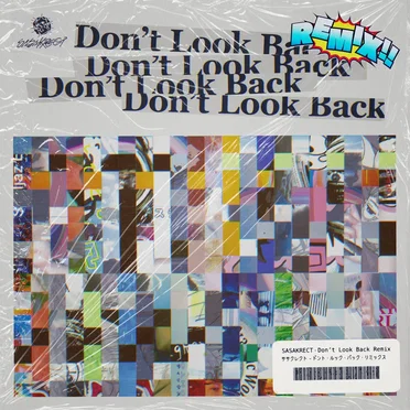 Don’t Look Back (pige remix)