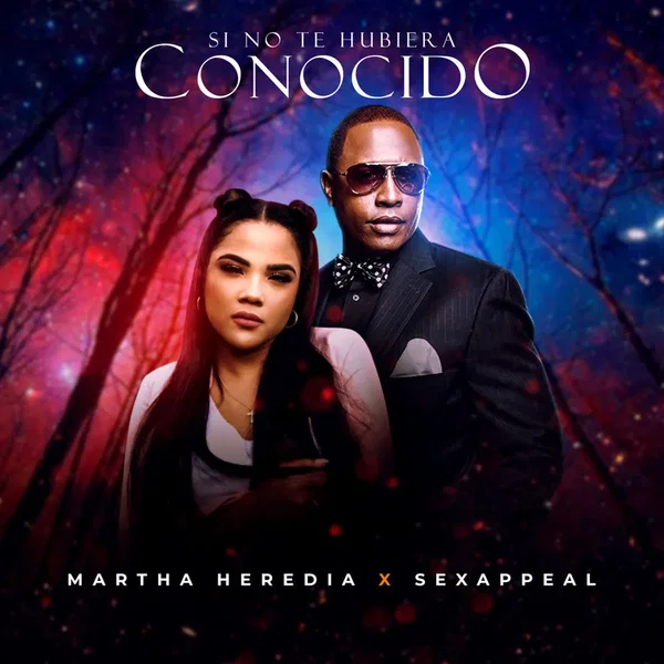 Si no te hubiera conocido