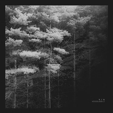 Voiceless Z by Various Artists - album cover