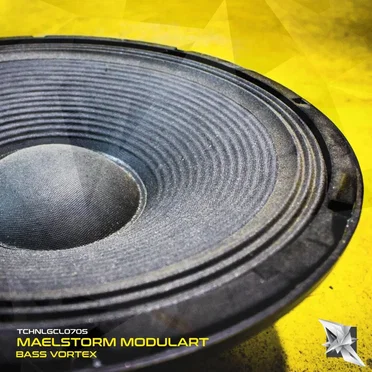 Bass Vortex by Maelstorm Modulart - album cover