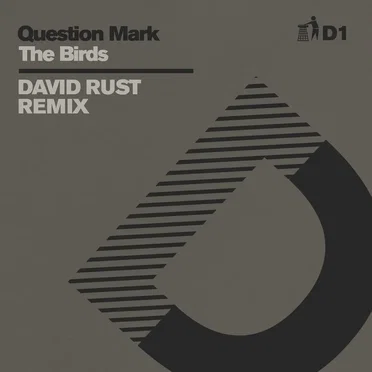 The Birds (David Rust Remix) - D1 by Question Mark - album cover