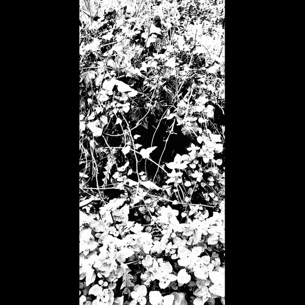 Les Fleurs de la Merde