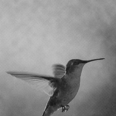 Codinome beija‐flor / O tempo não para