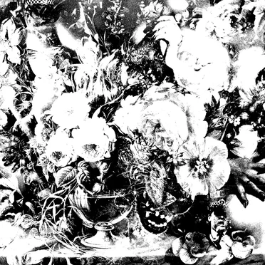 Masses