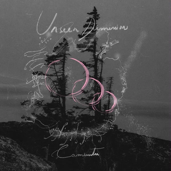 Unseen Dimensions