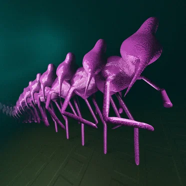 Elektrop by Polyop - album cover
