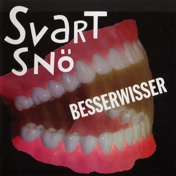 Besserwisser