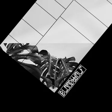 ATTRITION by † Blood W⚤lf † - album cover
