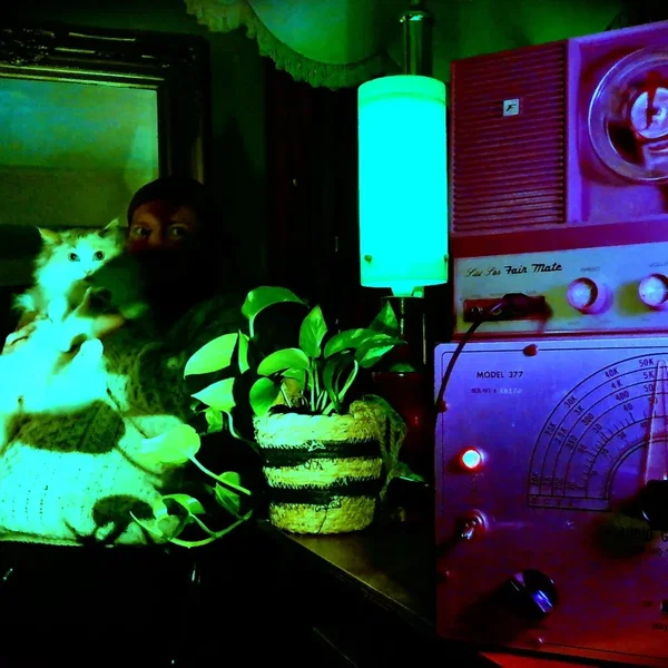 Tarkovsky’s Cat