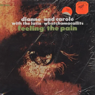 Feeling The Pain by Dianne & Carole - album cover