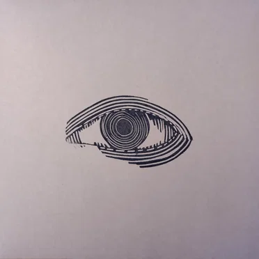 Collective Vision by The Vision Reels - album cover