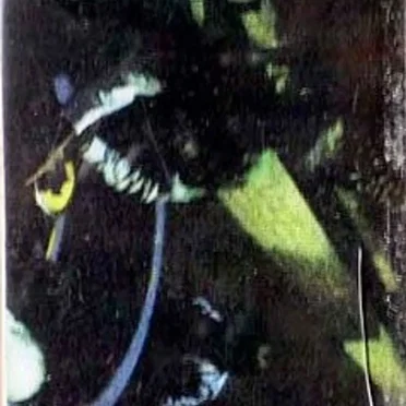 Gargamelodies
