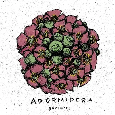 A d o r m i d e r a