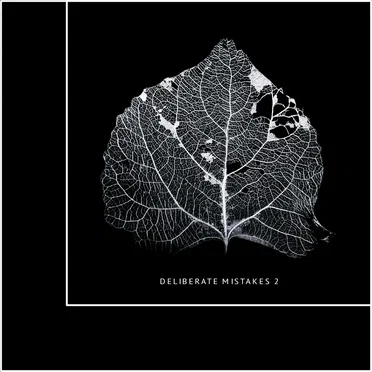 Deliberate Mistakes 2 by Various Artists - album cover