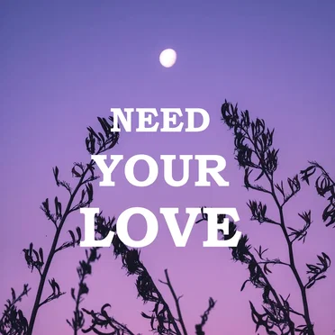 Need Your Love