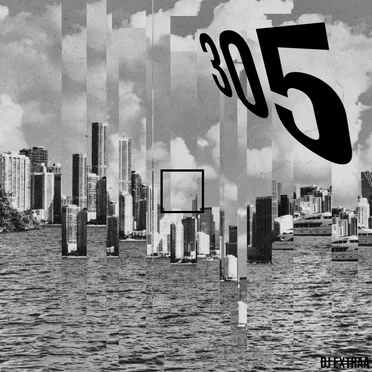 305