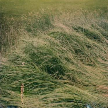 Slow spark, soft spoke