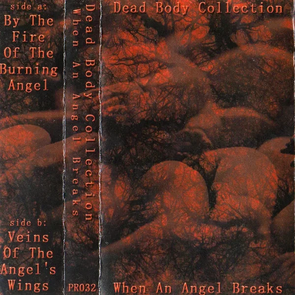 When An Angel Breaks