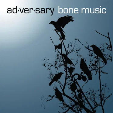 Bone Music by Ad·ver·sary - album cover