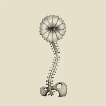 We Are Not Machines: Body Made of Stars