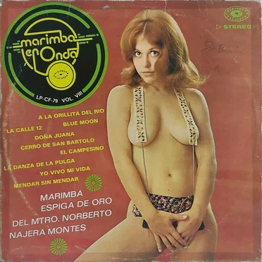 Marimba en onda vol viii