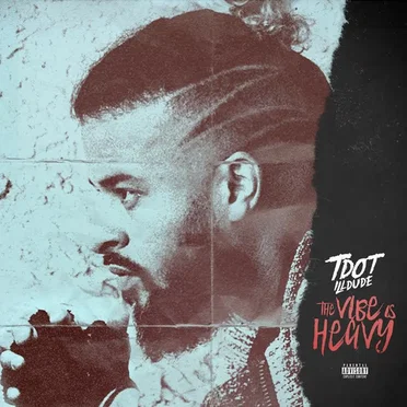 The Vibe Is Heavy by Tdot Illdude - album cover