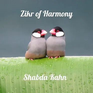 Zikr of Harmony