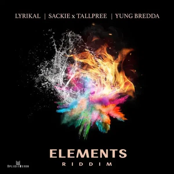 Elements Riddim