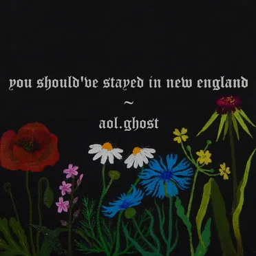 you should've stayed in new england