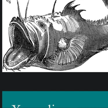 Random Track Selection #3