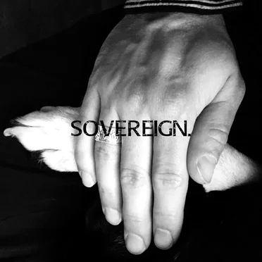 Sovereign. by Mindmodvl - album cover