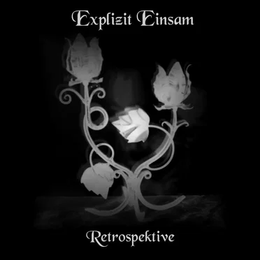 Retrospektive by Explizit Einsam - album cover