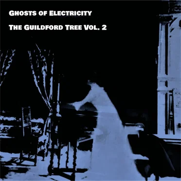 Ghosts of Electricity