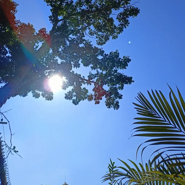 beautiful morning