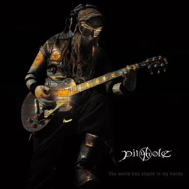 The World Lies Stupid in My Hands by PityHole - album cover