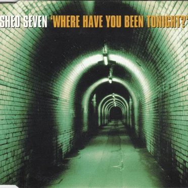 Where Have You Been Tonight?