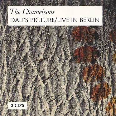 Dali’s Picture/Live in Berlin
