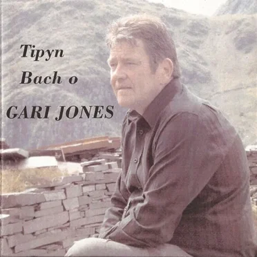 Tipyn Bach O by Gari Jones - album cover