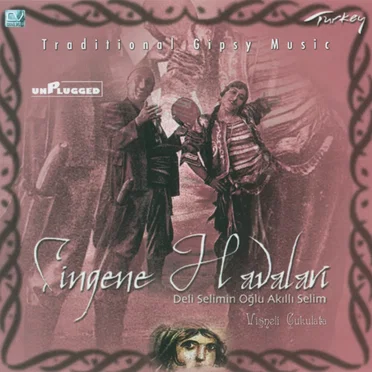Çingene Havaları / Vişneli Çukulata by Deli Selimin Oğlu Akıllı Selim - album cover