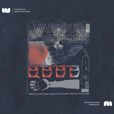 Various Positions by Silver Walks - album cover