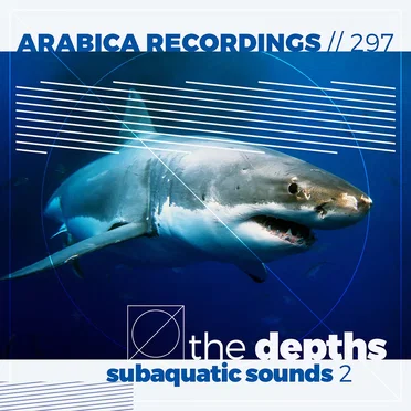 The Depths: Subaquatic Sounds 2 by Various Artists - album cover